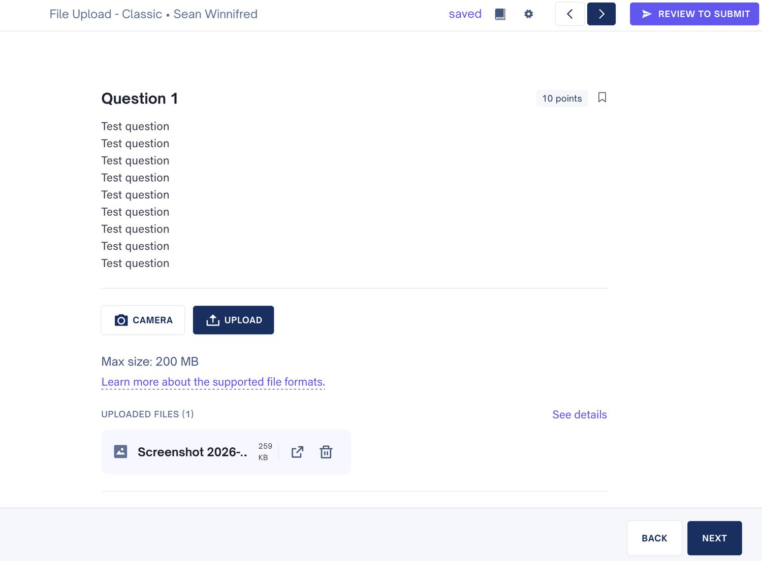 Student view showing an uploaded file chip with open and delete actions